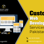 From Concept to Clicks: Unleash Your Brand with Custom Web Development Service in Pakistan